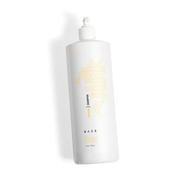 BASE COLOUR LOCK SHAMPOO 1L