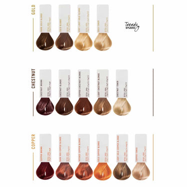 FABULOSO Custom Take Home Toner by EVO FAB PRO, copper, chestnut, gold