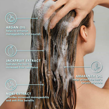 Key ingredients of Moroccanoil Frizz Control Shampoo