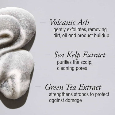 Perfect if you use styling products regularly, swim in chlorinated pools, or live in areas with hard water. This weekly clarifying shampoo is ideal for refreshing your hair and scalp, creating the perfect foundation for any treatment or style